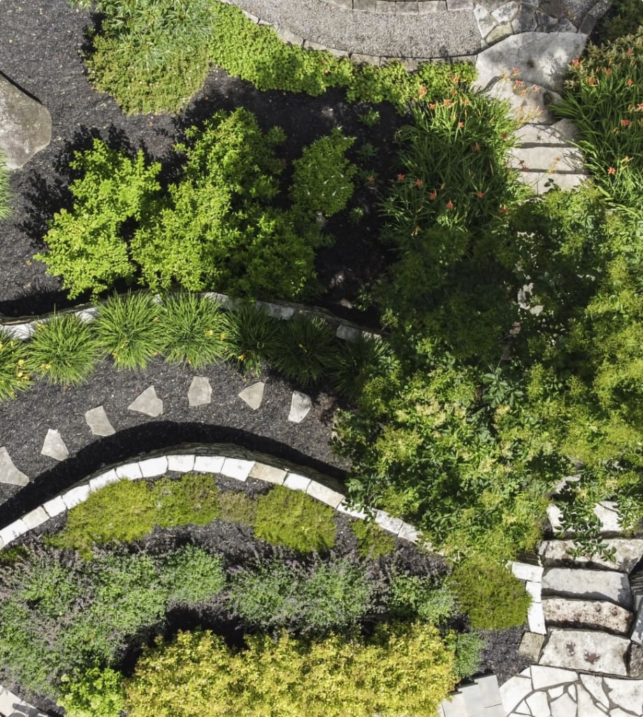 Jardin Dion - Slider 2