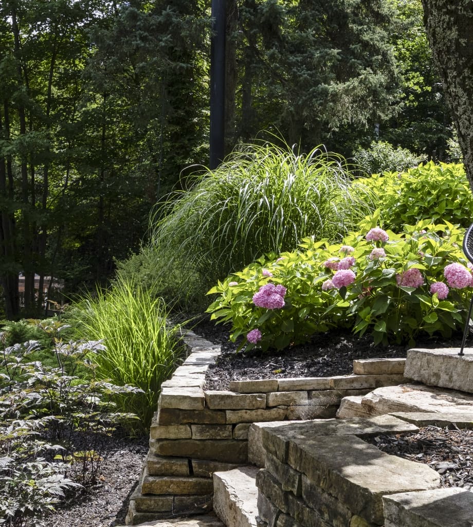 Jardin Dion - Slider 4