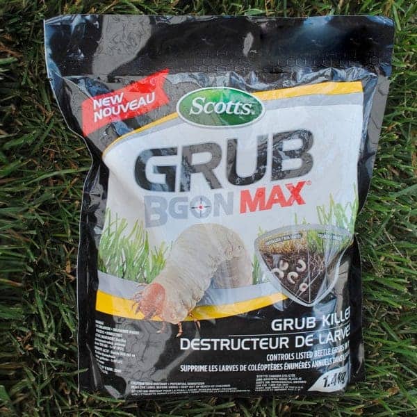 Sachet d'insecticide pour éliminer les larves de coléoptères dans le jardin.