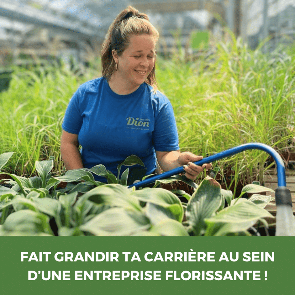 Femme conseillant des plantes dans une serre chez Jardin Dion.