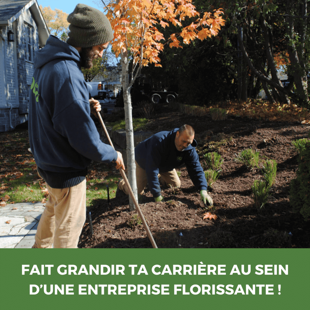 Deux hommes travaillent dans un jardin en automne, plantation de plantes.
