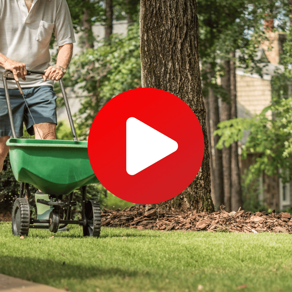 Personne utilisant un semoir pour planter de l'herbe dans un jardin.