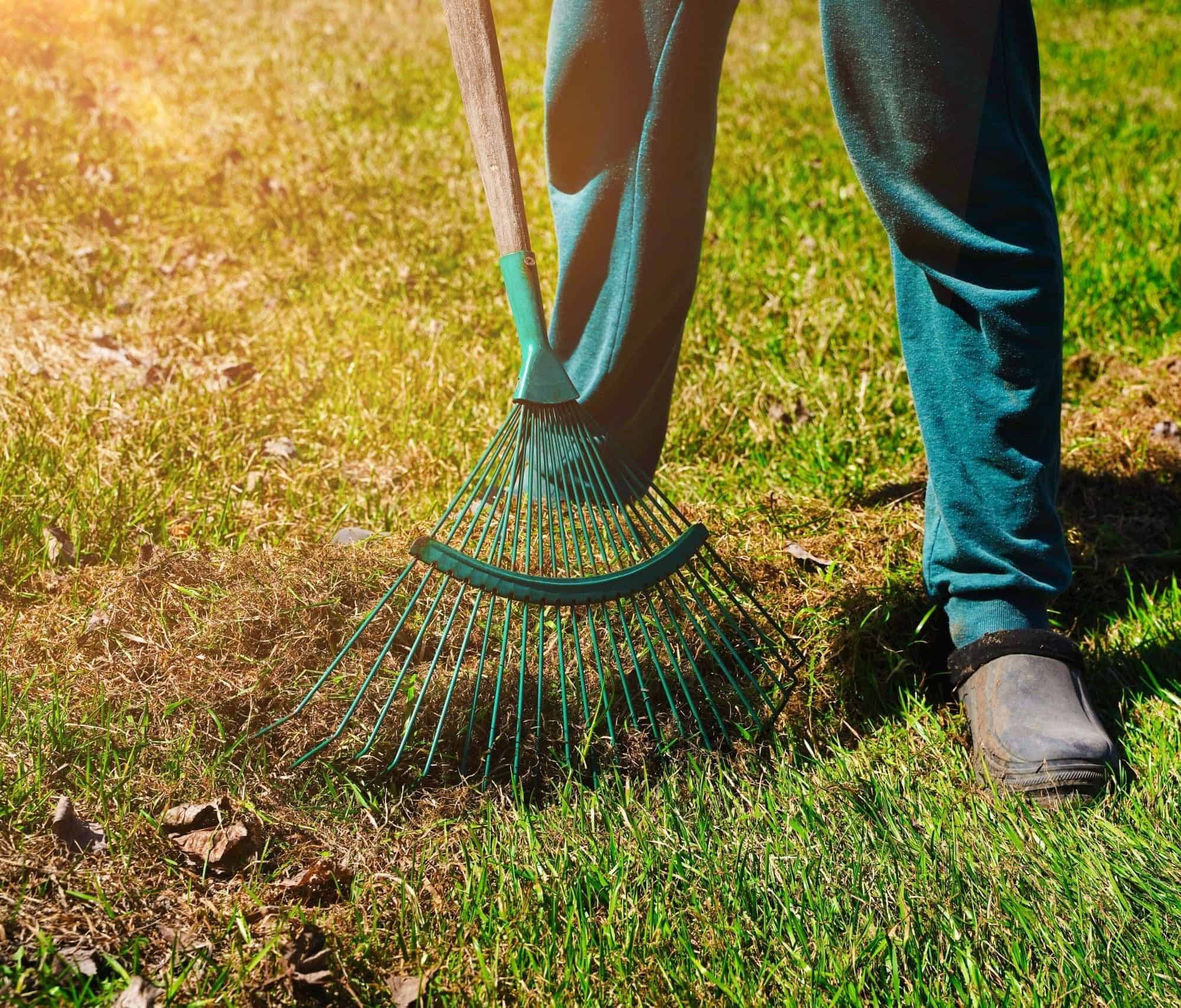 garden,cleaning.,raking,dry,grass,in,the,garden,in,early
