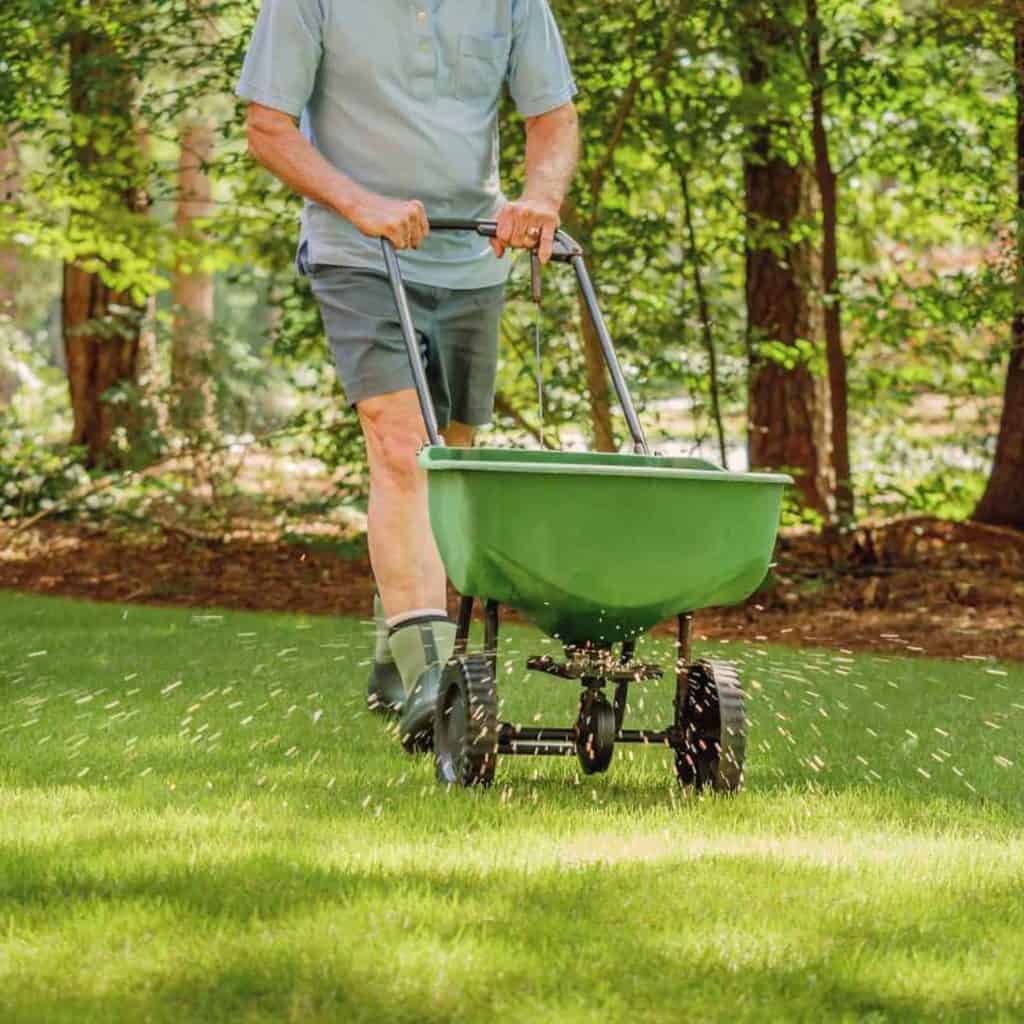 Homme utilisant un épandeur pour semer la pelouse dans un jardin.