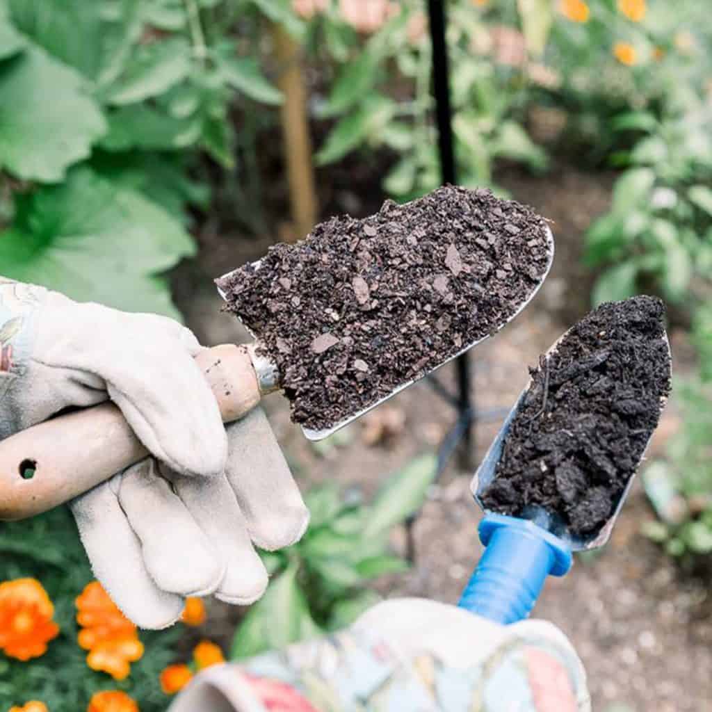Outils de jardinage avec terre fraîche pour plates-bandes.