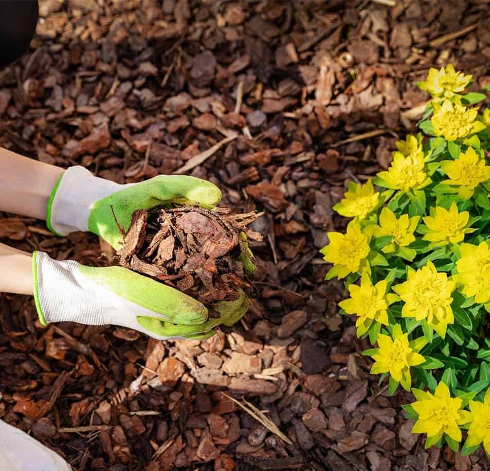 terre compost paillis jardindion