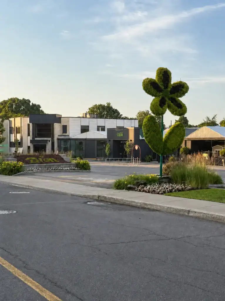 Arbre en forme de cactus en topiaire dans un paysage urbain moderne.