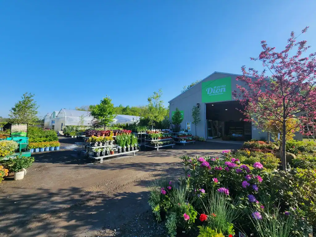 Centre de jardinage Jardin Dion avec plantes et arbres en plein air.